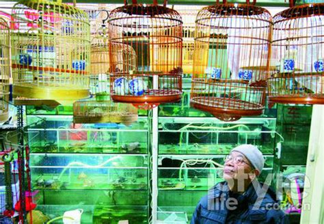 全国十大花鸟鱼虫市场，十里河花鸟市场上榜，第一全国规模最大(3)_排行榜123网