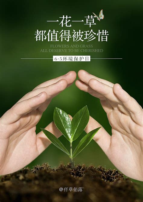 环境保护日 6月5日 |网页|专题/活动|xi_汐 - 原创作品 - 站酷 (ZCOOL)