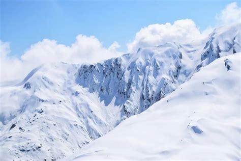 雪山白树冬季旅行推广主题背景图psd素材 – 设计小咖