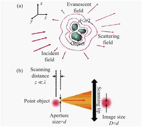 太赫兹散射式扫描近场光学显微镜中探针与样品互作用及其影响探究