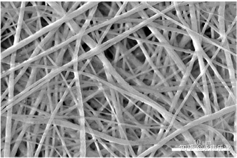 硼或氮掺杂的锯齿型石墨烯纳米带的非共线磁序与电子输运性质