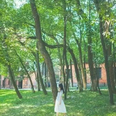 绿色伤感头像非主流