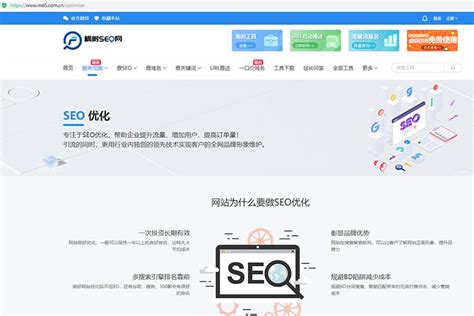 SEO服务商和搜索引擎优化顾问_分享排名技术的网站
