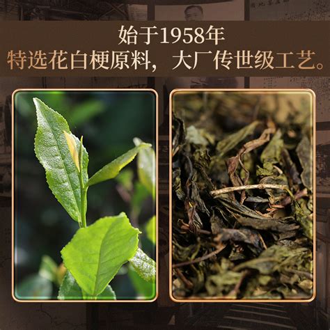 “传统茶 时光茶 大众茶”——白沙溪·陈年贡尖茶 - 品牌湘茶 - 新湖南
