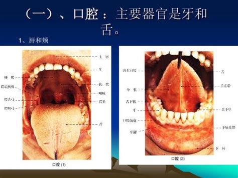 牙周基础治疗病例-潍坊可恩口腔韦方杰的博客-KQ88口腔博客