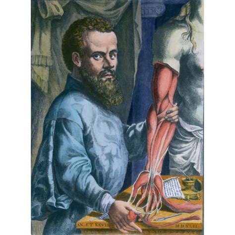 Andreas Vesalius, 1514 - 1564. Anatom, Arzt und Autor von De humani ...