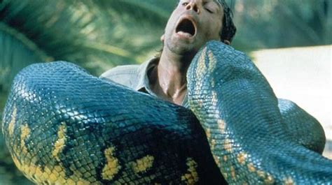 世界上体型最大最强的蛇，亚马逊巨蟒，体长6米能吞人