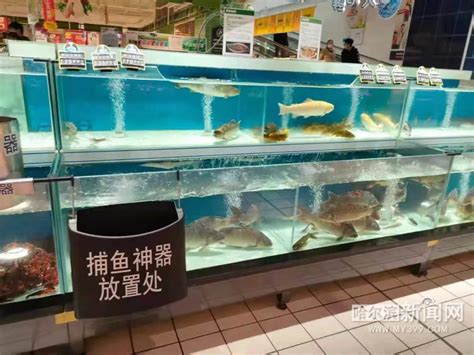 卖鱼缸的店铺名字大全集：卖鱼缸的地方叫什么 - 观赏鱼市场 - 龙鱼批发|祥龙鱼场(广州观赏鱼批发市场)