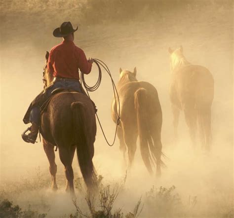 骑马的西部牛仔素材-高清图片-摄影照片-寻图免费打包下载