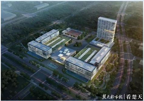 联影医疗武汉总部基地封顶，助力光谷打造中国高端医学影像设备高地__凤凰网