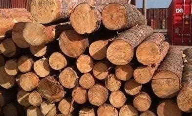 木材厂木材木头木材市场木业高清图片下载-正版图片501587146-摄图网