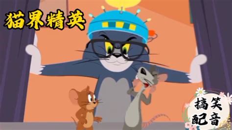 搞笑配音《猫和老鼠》大傻猫小耗子联手把狠人胡汉三一顿搞_腾讯视频