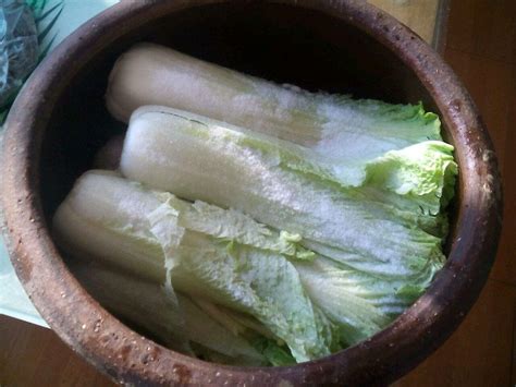 长期吃酸菜是“养生”还是“养癌”-中国健康