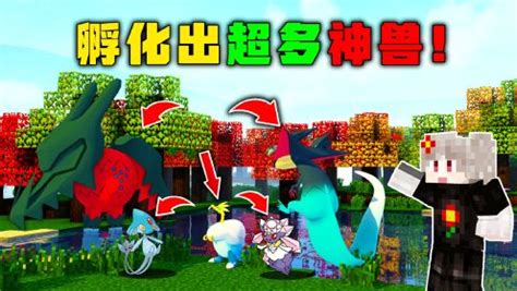425.雷吉泽拉戈1(龙神柱)龙属性~巨龙威能图片