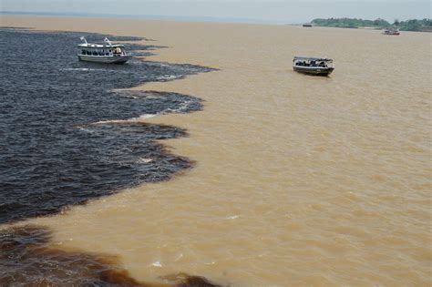神秘与野性之美——亚马逊河