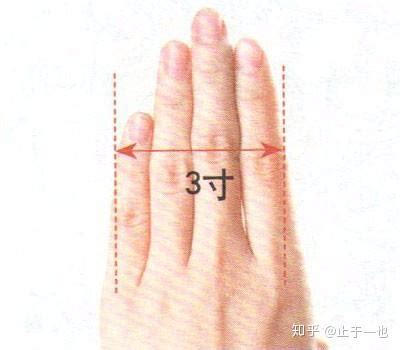 手指同身寸法（取穴比量方法示范图） - 知乎