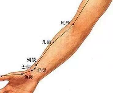 人迎脉位置图解图片