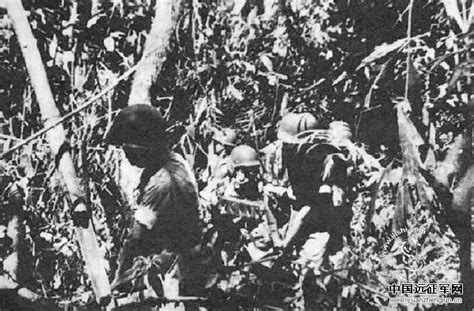 日军在马来半岛的丛林中行进-中国抗日战争-图片