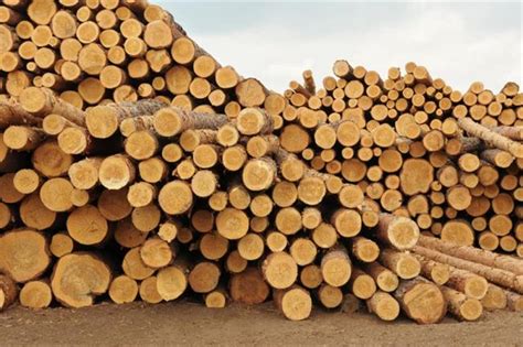 发展绿色木材工业，科技创新是关键 - 品牌之家
