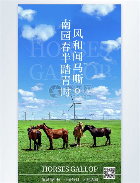 蓝天白云骏马旅游摄影海报模板素材-正版图片401799512-摄图网