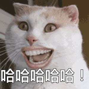 哈哈哈哈哈哈嗝表情包图片 哈哈哈哈哈哈嗝表情包图片