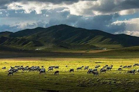 2023甘南景区景点全免费，现在去正合适！4条甘南旅游最佳线路推荐给你,甘南藏族自治州旅游攻略-游侠客旅行