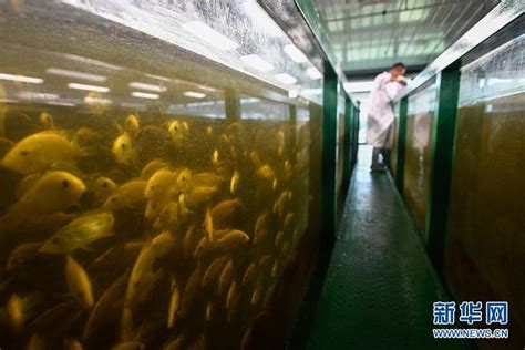 浙江湖州：智能化循环水养殖效益高_时图_图片频道_云南网