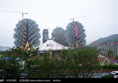 三亚市大树造型的高楼高清图片下载_红动中国