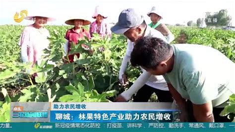 河北广播电视台：农民频道打造“非常”品牌 关心服务群众__财经头条