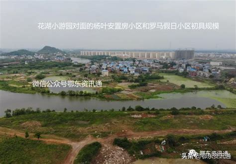 市水利和湖泊局副局长刘镇开展花湖开发区雨污水管网一期、二期四季度和年度运维绩效考核工作
