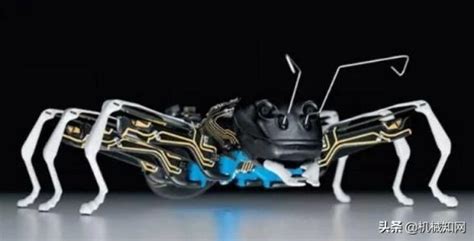 世界上最先进的机器人叫什么(2022年世界上最顶尖的机器人)-海诗网
