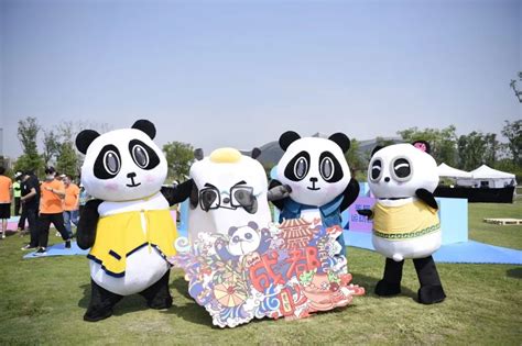 今天，全成都的“熊猫”一起开了场运动会_澎湃号·媒体_澎湃新闻-The Paper