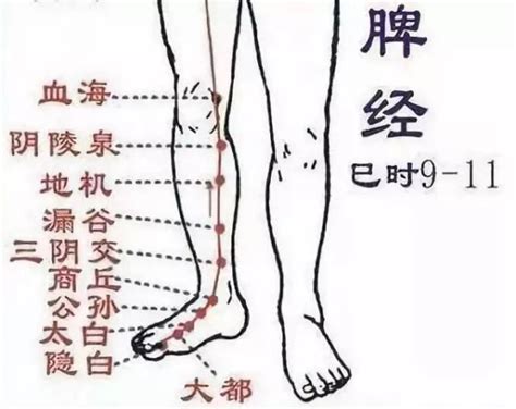 胰俞的准确位置图图片 胰俞的准确位置图图片
