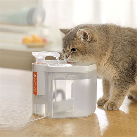 Bistro智能喂猫器 识别猫脸 自动喂食饮水称重 – 淘里乐