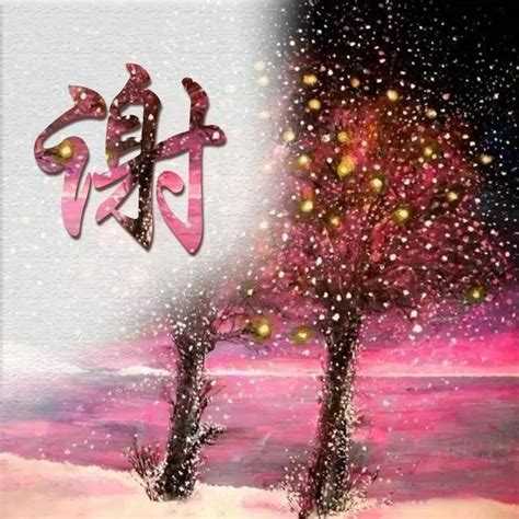 谢氏头像非主流