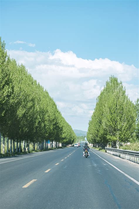 路马图片