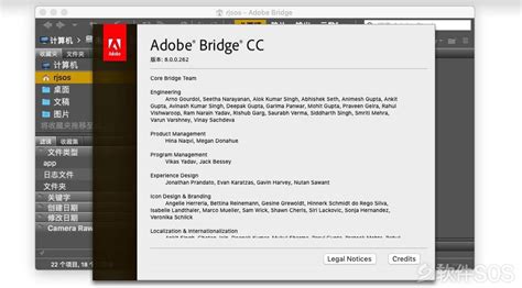 Bridge CC 2018 for Mac v8.1.0 文件管理 安装激活详解 - 软件SOS