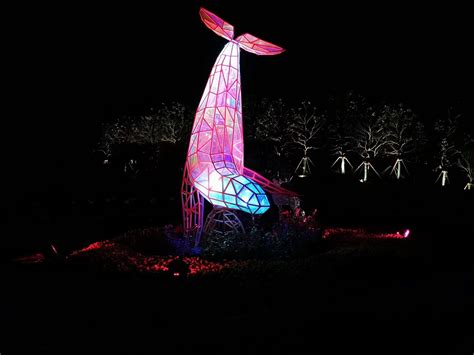 发光雕塑（动物）-上海宏季美陈景观艺术有限公司