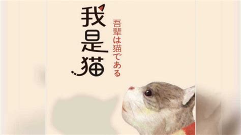 视频解读夏目漱石《我是猫》_腾讯视频