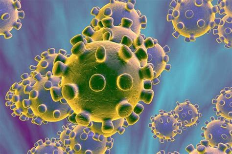 新冠病毒出现变异？世卫组织：鼓励各国提供病毒样本验证突变 | 每经网