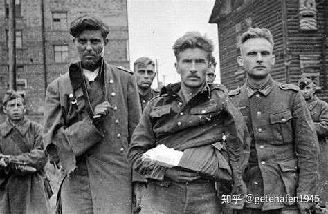 东线战争杂谈之一百：1942年夏天，德军在列宁格勒地区的行动 - 知乎