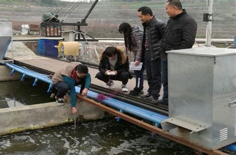 重庆市生态渔技术体系岗位专家林仕梅到璧山区调研_水产快讯（循环水养殖）_水产养殖网