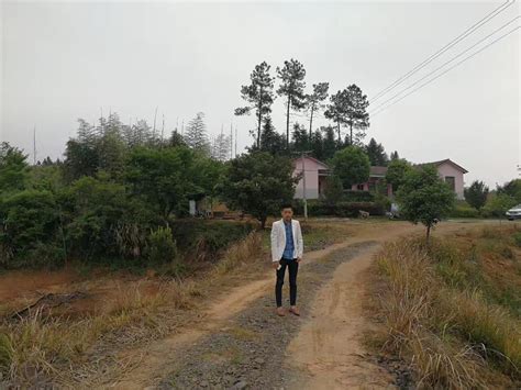 江西省宜春市奉新县可做精致小农庄110亩有林地出售- 聚土网