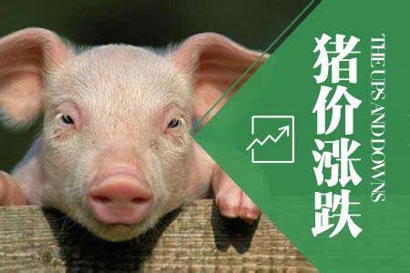 2023年4月大宗商品-生猪价格分析：价格为14.6元/公斤，同比增加0.28%_智研咨询