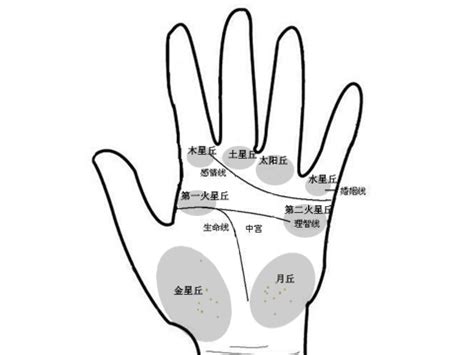 看手相图解图片