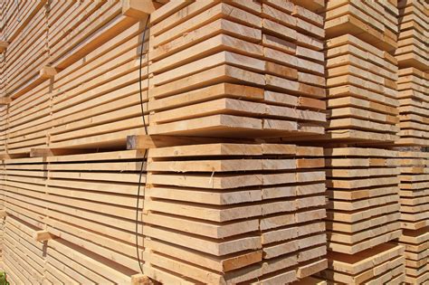 工业木材厂的原木和桩高清图片下载-正版图片507151342-摄图网
