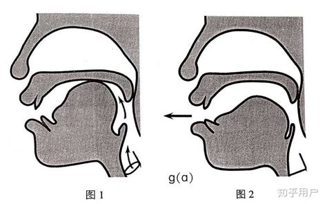前鼻音和后鼻音有什么区别-百度经验