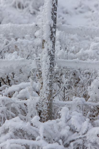 温冬冰霜加拿大萨斯喀彻温冰风暴危险高清图片下载-正版图片307291267-摄图网