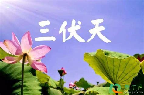 今年7月12日入伏，三伏天共计40天！上海是不是一定会很热？