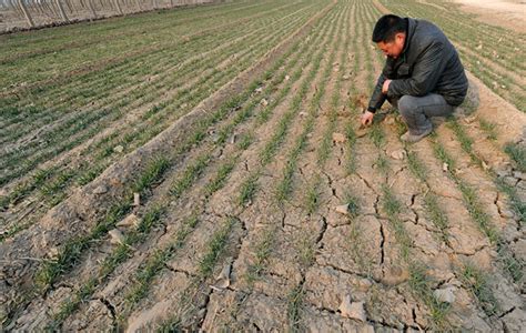 全国农作物受旱面积超1亿亩 272万人饮水困难-搜狐新闻